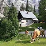 Hiša za goste Planinska Koca Na Gozdu *