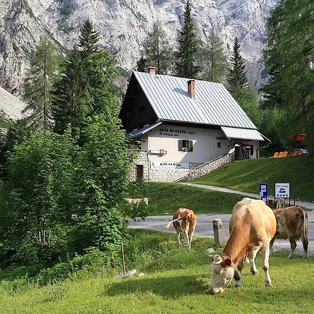 Pensjonat Planinska Koca Na Gozdu *