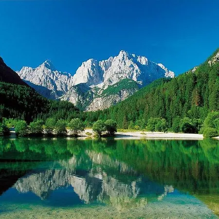 Planinska Koca Na Gozdu * Kranjska Gora