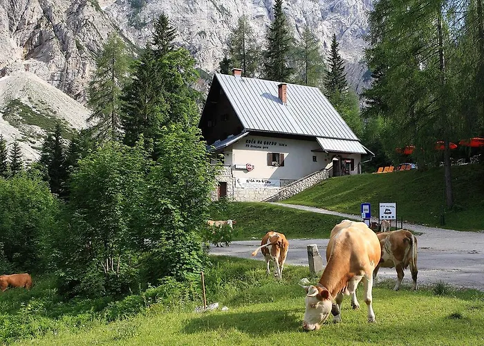 בית הארחה Planinska Koca Na Gozdu *