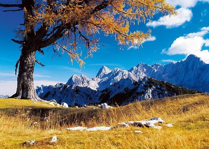 Hiša za goste Planinska Koca Na Gozdu *